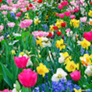 Meet your Posher, Candi